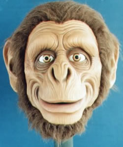 Monkey