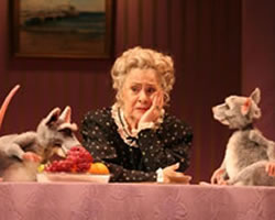 Publicity Picture
